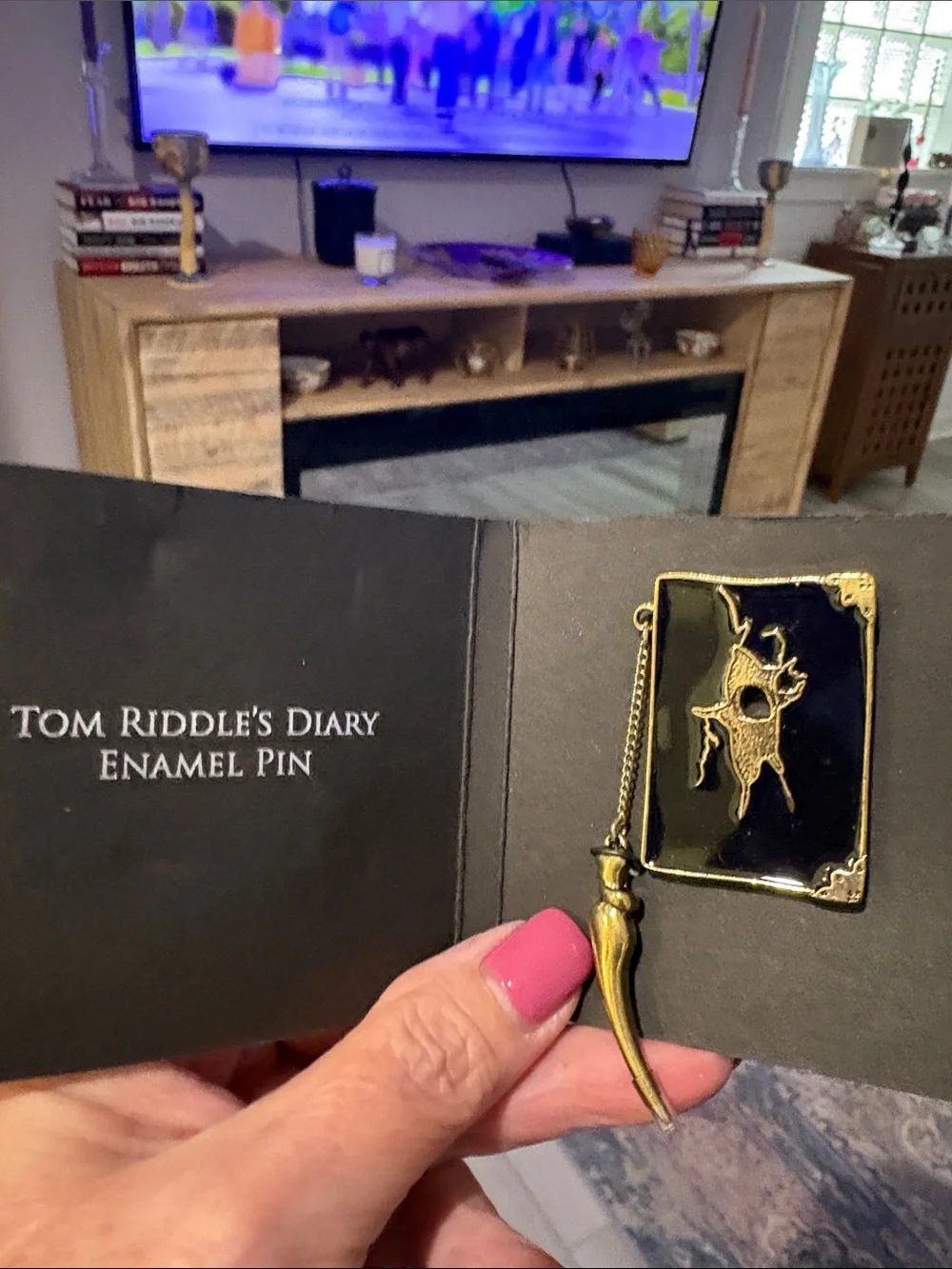 Warner Bros. Black and Gold Harry Potter Pin